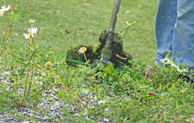 Weed Pulling Service