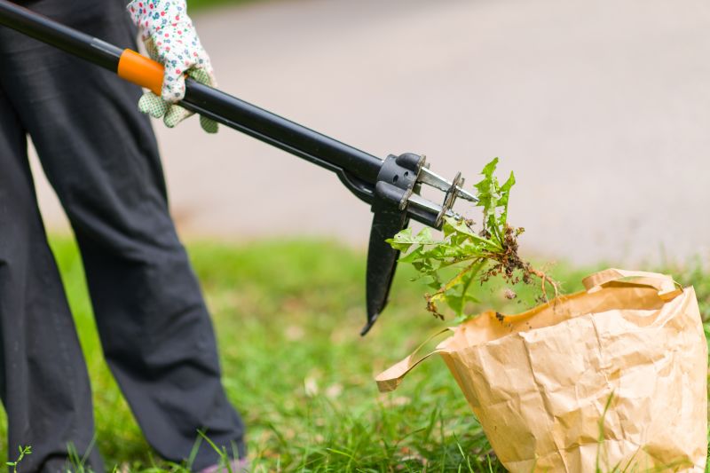 Weed Pulling Service