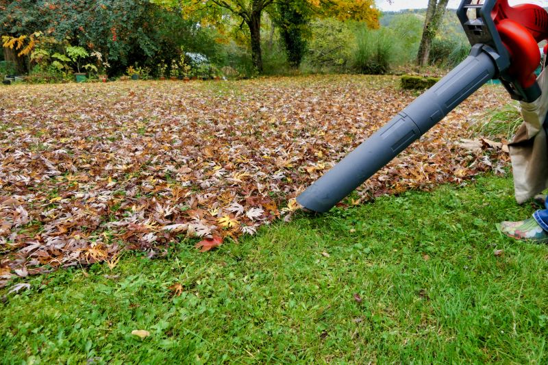 Fall Leaf Removal Equipment