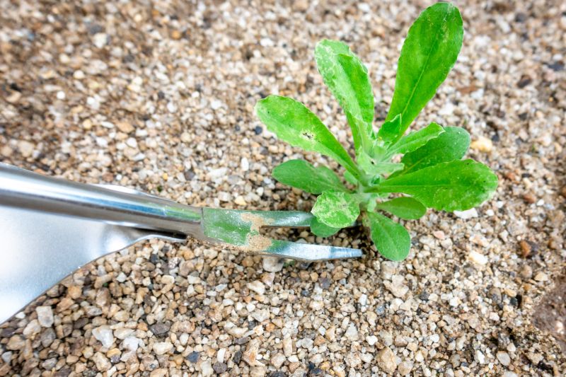 Tools Used for Weed Removal