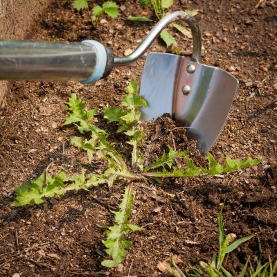 Discourage Future Weed Growth