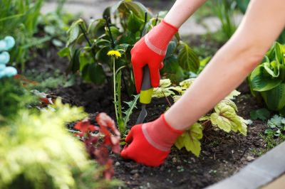 Enhance Your Curb Appeal