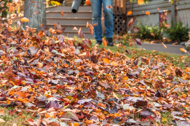 Fall Lawn Cleanup Service in Honolulu, HI